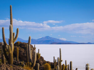 salar de uyuni dia 1